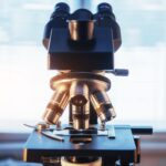 “Maya” 33 Case Study