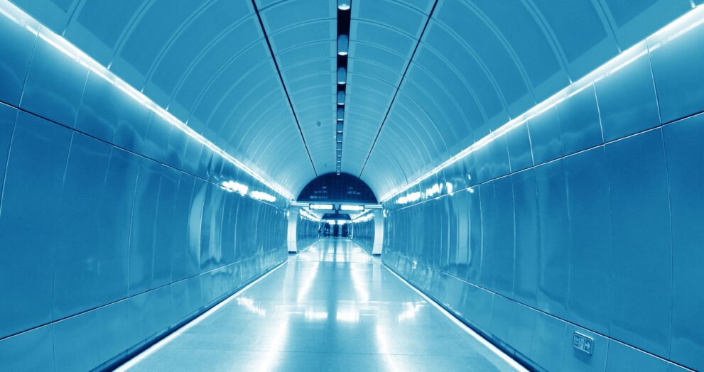 “Maya” 33 Case Study