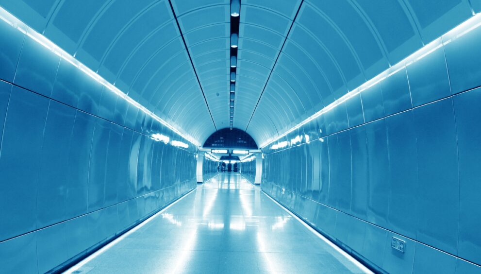 “Maya” 33 Case Study