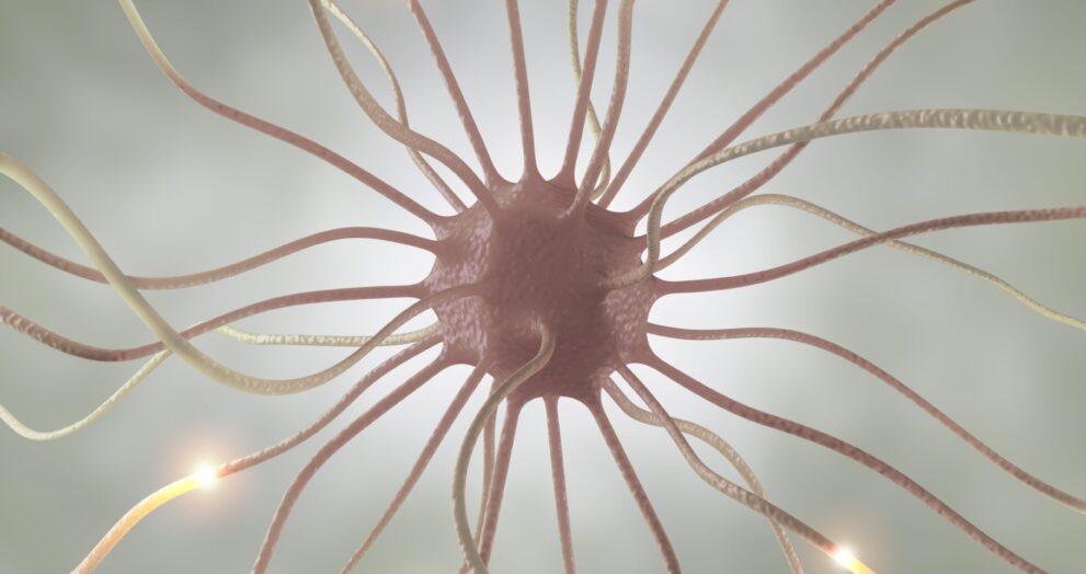 ‘Pamela’ 43 Case Study