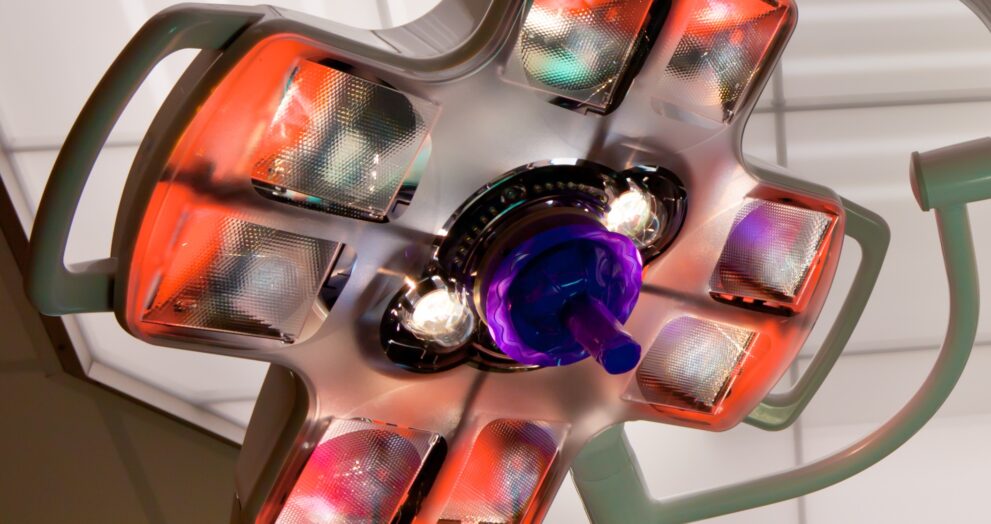 ’Leon’ 44 Case Study