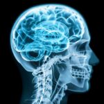 “Zakir” now 8 Case Study